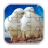 icon Love Birds Jigsaw Puzzle 1.0