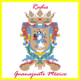 icon Radio Guanajuato México per Aermoo M1