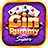 icon Gin Rummy Super 0.4.80
