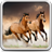 icon Horses Live Wallpaper 18.0