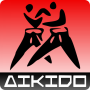 icon Aikido training