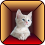 icon Cat Simulator