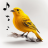 icon Bird Calls 14.0.0