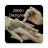 icon Mehndi Designs Offline 4.0.5