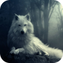 icon Wolf Wallpaper