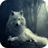 icon Wolf Wallpaper 1.2