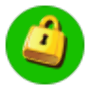 icon Whats Password per bq BQ-5007L Iron
