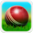 icon Cricket 3D 1.8.2