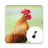 icon Chicken Sounds 4.1.6