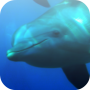 icon Sea Fun Games – free per Samsung Galaxy Tab Active 2 LTE