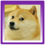 icon Doge Runner