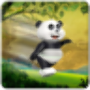 icon Run Panda Run