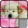 icon PuzzleDogs