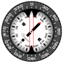 icon Compass PRO per Sony Xperia XZ Dual