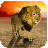 icon Lion Attack Simulator 3D 1.4