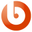 icon Bruvoip 1.6