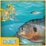 icon com.duet.fishtame