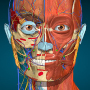 icon Anatomy Learning - 3D Anatomy per karbonn A9 Indian