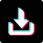 icon TikTok Downloader