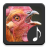 icon Chicken Sounds 3.3.1