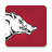 icon Arkansas Razorbacks 173.2.6