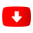 icon Video Downloader 1.0.21