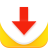 icon All Video Downloader 1.8