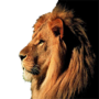 icon اصوات الحيوانات per BLU Studio G2