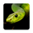 icon Snake Wallpapers 4.0.snake