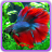 icon Betta Fish 3.0