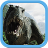 icon Hidden Dinosaurs in Jungle 1.0.0