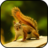 icon Squirrel Wallpapers 1.0