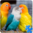 icon Birds Jigsaw Puzzle + LWP 3.0