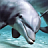 icon Dolphins HD LWP 1.0