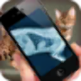 icon Simulation XRay Cat per Samsung Galaxy Mini S5570