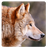 icon Wolves Sound & RingTone 1.0