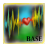 icon Rhythms Of Life BASE 1.4