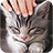 icon Pat a cat 1.1