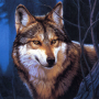 icon Wolf Jigsaw Puzzles