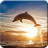 icon Dolphin Live Wallpaper 1.0.2