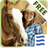 icon WesternHorse 1.3