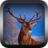 icon Wild Hunter 1.5