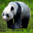 icon Panda Run 1.0.3