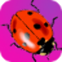 icon Cute Ladybugs Live Wallpaper per Xtouch A2