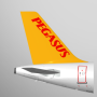 icon Pegasus: Cheap Flight Tickets per verykool Cyprus II s6005