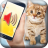 icon Cat Translator 6.0