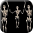 icon Belly Dancing Skeleton Live Wallpaper 2.0