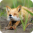 icon Fox Wallpaper 2.6