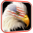 icon USA Eagle Live Wallpaper 3.0