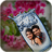 icon Glass Photo Frames 1.2